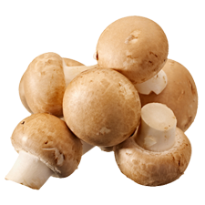 Picture of Mushrooms.
