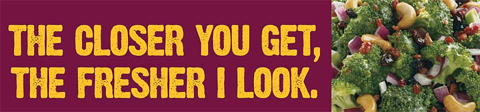 Bumper sticker with the text, 'The Closer You Get, The Fresher I Look.'